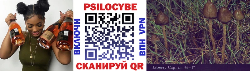 Псилоцибиновые грибы мухоморы  где найти наркотики  Малоярославец 